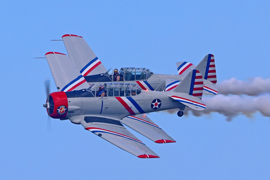 Warbird Thunder Airshows planes flying in the sky